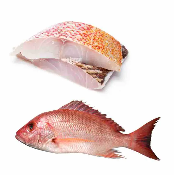 Vivaneau 1 Kg