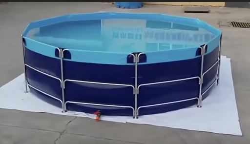 Aquariums de pêche. Bac Hors tilapia et autres
